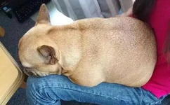 羽月希产后哺乳期挤奶水